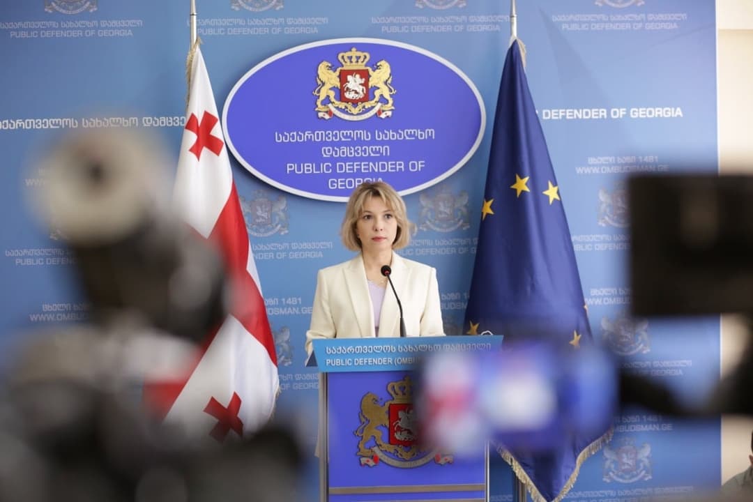 Public Defender Lomjaria: ruling party chair accusations “unfounded, slanderous”