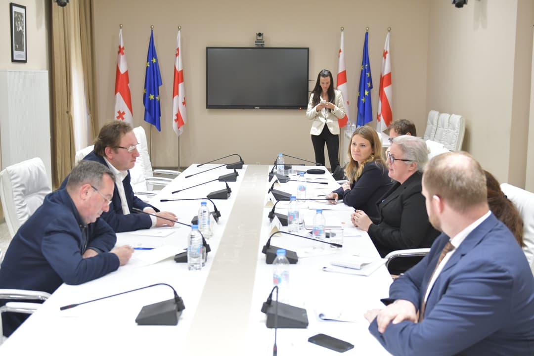 ნიკა მაჭუტაძე – ყურადღება გავამახვილეთ დასავლური სადამკვირვებლო მისიისა და ზოგადად დასავლური ინსტიტუტების სტიგმატიზაციის მცდელობაზე