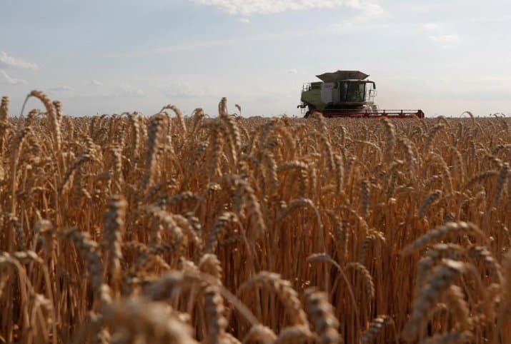 პოდოლიაკი – მსოფლიომ უნდა იცოდეს, რომ რუსეთის “რეკორდული მოსავალი” უკრაინიდან მოპარული მარცვლეულია