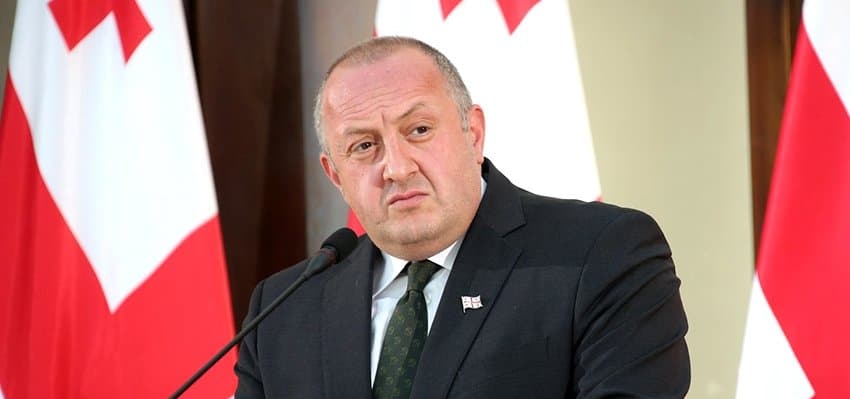 Ex-president Margvelashvili reportedly appointed a new head of UNM opposition