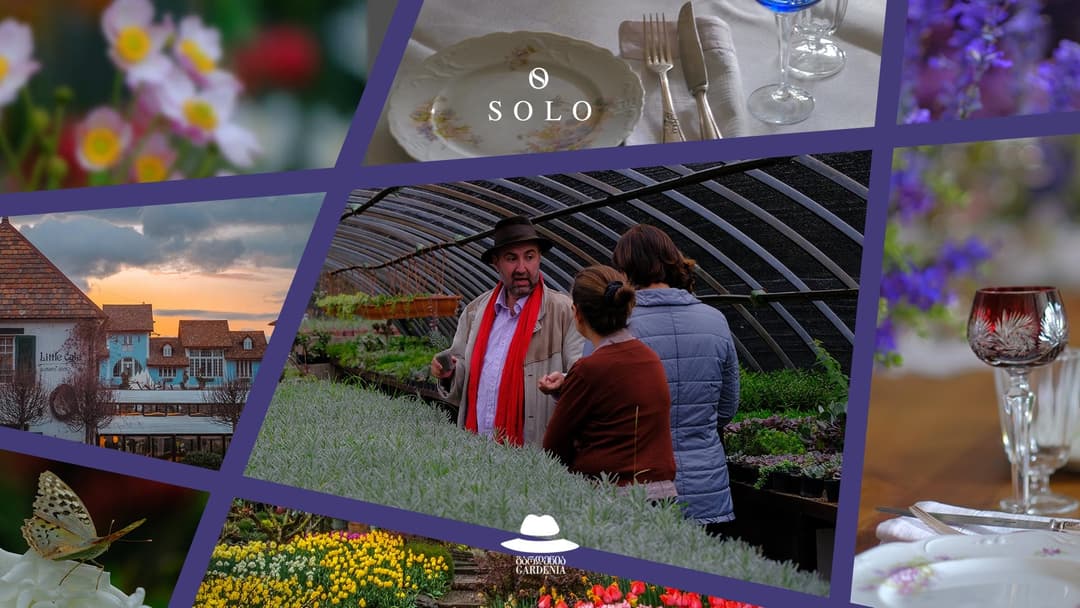 სპეციალურად SOLO მომხმარებლებს – ზურა შევარდნაძის მასტერკლასი გარდენიაში