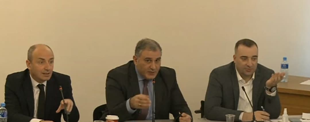 პარლამენტის ორმა კომიტეტმა სახელმწიფო ინსპექტორის სამსახურის გაუქმების ინიციატივას მხარი დაუჭირა