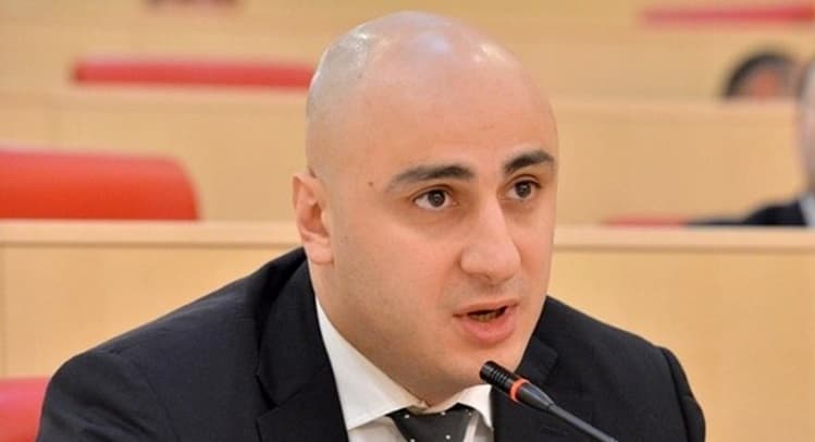 UNM head Melia: If I were Saakashvili, I would have already been returned