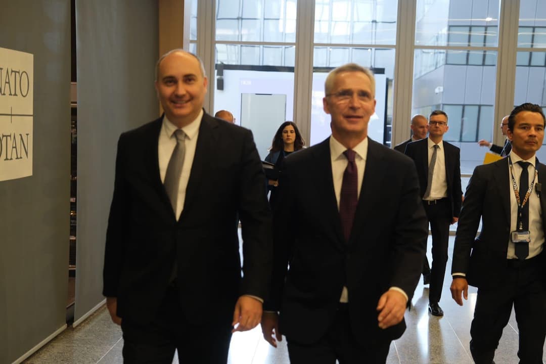 საქართველოს თავდაცვის მინისტრი ნატოს თავდაცვის მინისტერიალის ფარგლებში სამუშაო შეხვედრაზე სიტყვით გამოვიდა