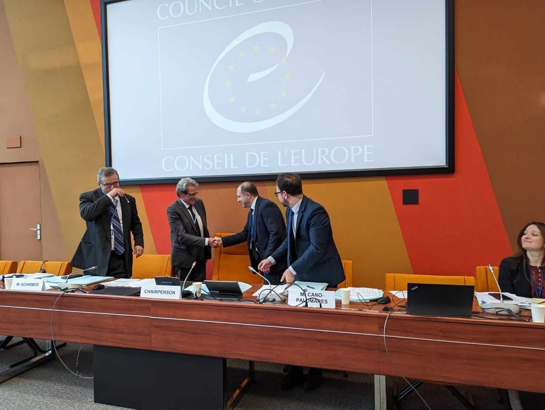 გივი მიქანაძე სტრასბურგის სასამართლოს გადაწყვეტილებების აღსრულების ქვეკომიტეტის თავმჯდომარედ მეორე ვადით აირჩიეს