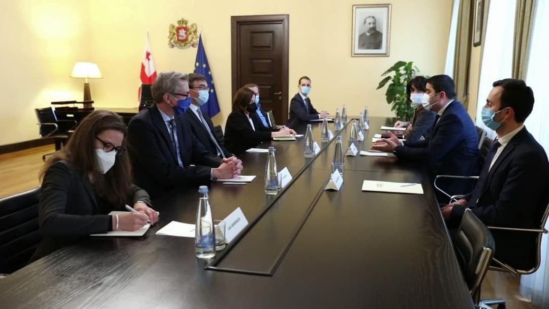 პარლამენტის თავმჯდომარე საქართველოს შესახებ ევროპარლამენტის მომხსენებელს სვენ მიკსერს შეხვდა