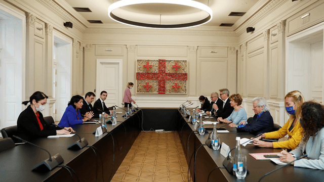 სალომე ზურაბიშვილმა ევროპარლამენტის სადამკვირვებლო მისიასთან წინასაარჩევნო პერიოდში არსებული ვითარება განიხილა