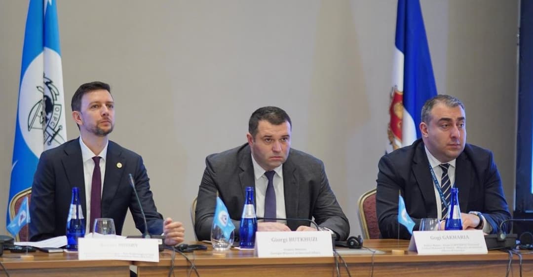 შინაგან საქმეთა მინისტრის მოადგილემ “გეიგერის” სამუშაო ჯგუფის შეხვედრა გახსნა