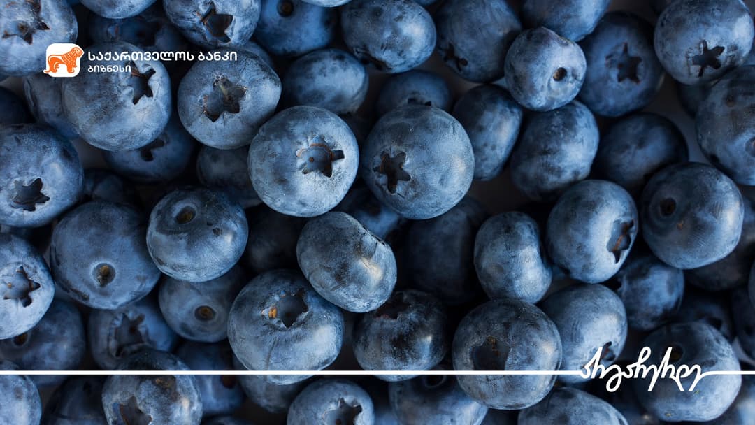 “საქართველოს ბანკის” მხარდაჭერით ექსპორტზე კიდევ ერთი ადგილობრივი კომპანია გავიდა