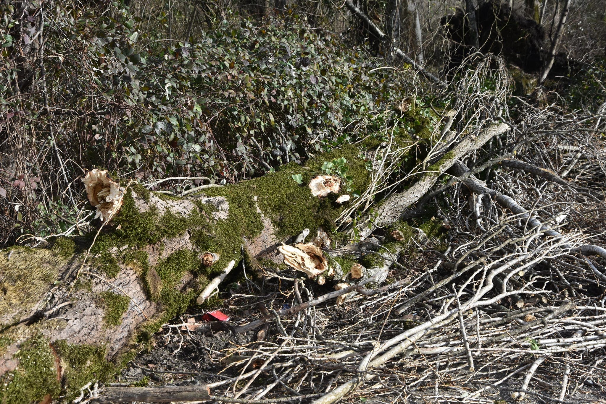 Frontnews image description