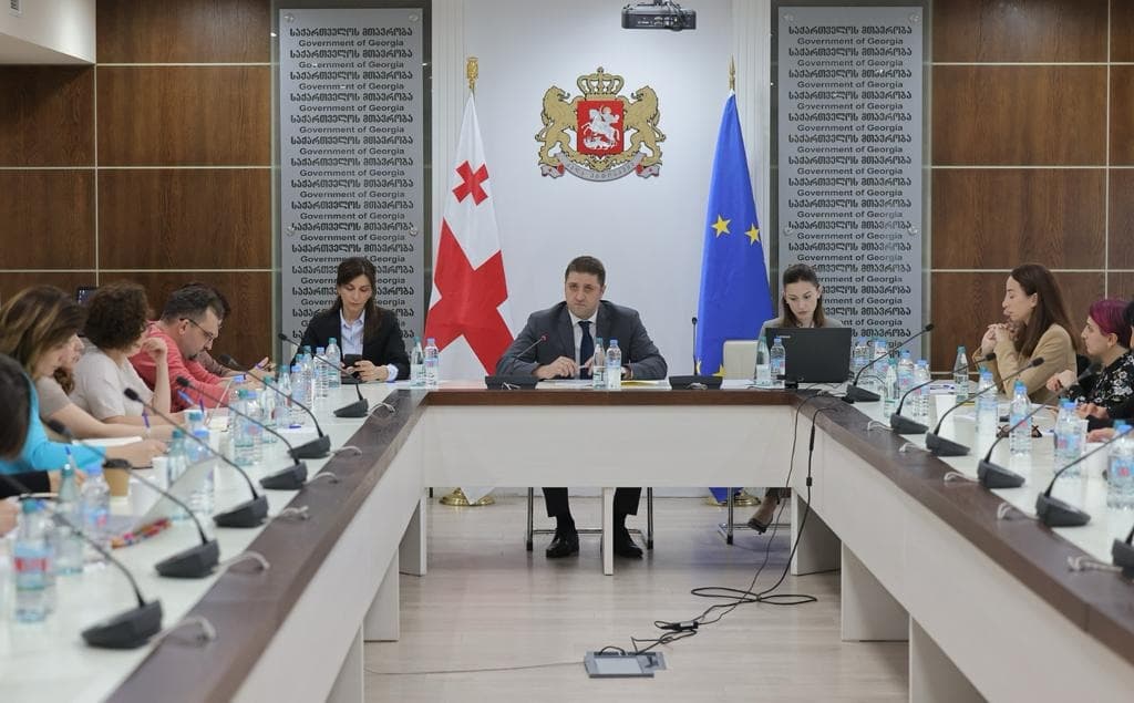 პრემიერ-მინისტრის მრჩეველმა სამოქალაქო სექტორის წარმომადგენლებს ადამიანის უფლებათა დაცვის ეროვნული სამოქმედო გეგმის სამუშაო ვერსია წარუდგინა
