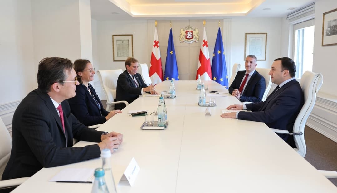 ირაკლი ღარიბაშვილი საფრანგეთის პრეზიდენტის დიპლომატიურ მრჩეველს შეხვდა