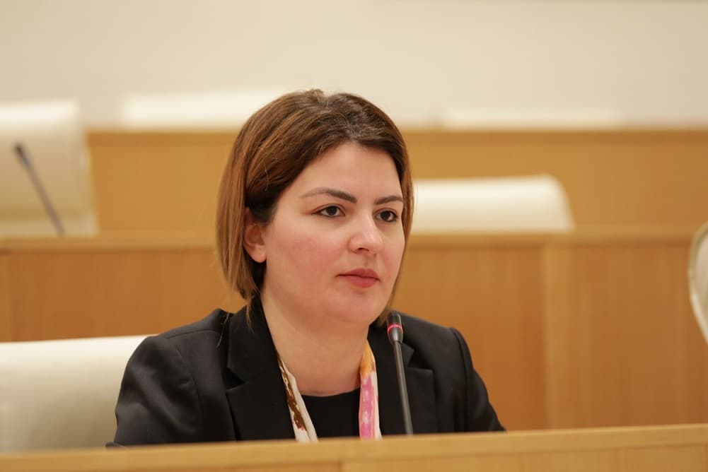 ანა ნაცვლიშვილი – ჩვენ გვაქვს შეკრული კოალიცია საქართველოს მოქალაქეებთან იმისათვის, რომ რუსული ოცნება გავუშვათ ხელისუფლებიდან