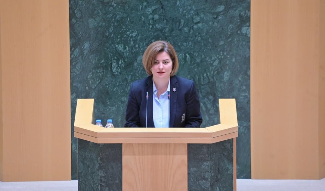 ანა ნაცვლიშვილი – ამ ქვეყნის ისტორიაში ეს საპარლამენტო წელი შევა რუსული კანონის წლად