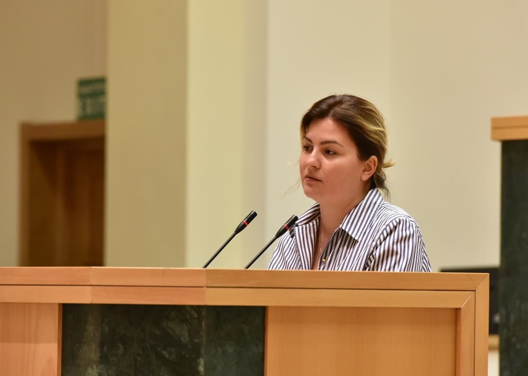 Opposition leader calls for international probe into alleged election fraud in Georgia