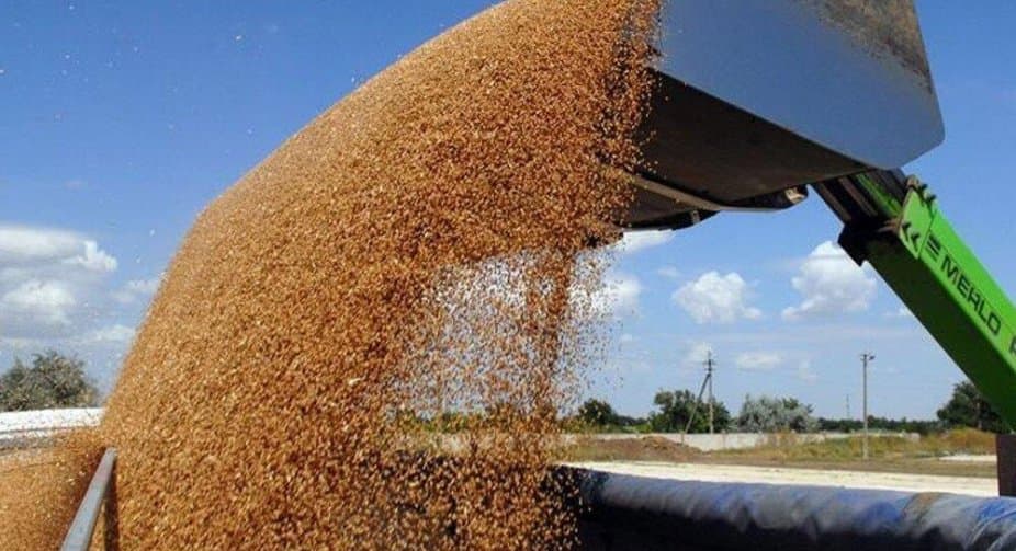 Ukraine, Paland deal for resumption of grain transits
