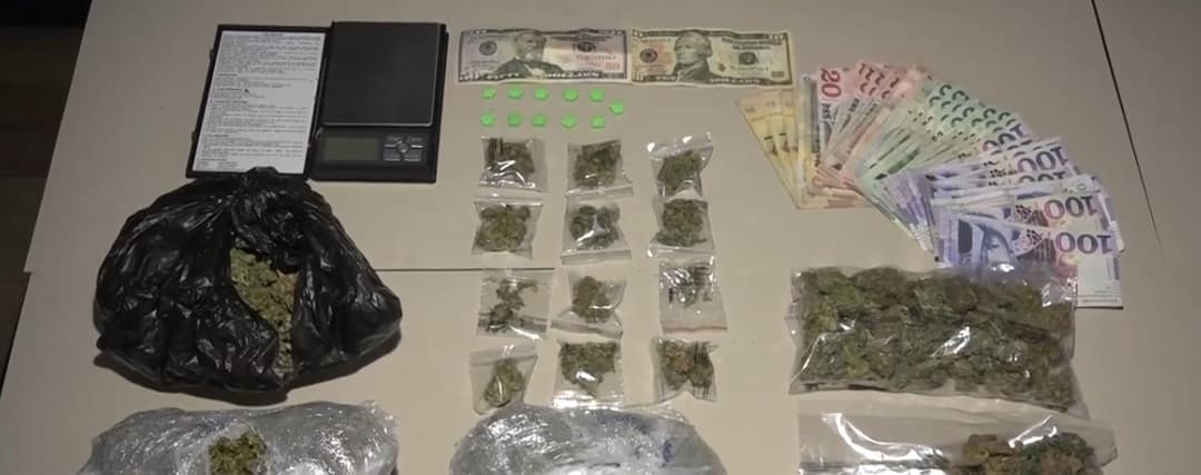 შსს-მ ნარკოდანაშაულის ბრალდებით 28 პირი დააკავა, მათ შორის 16 ნარკორეალიზატორია