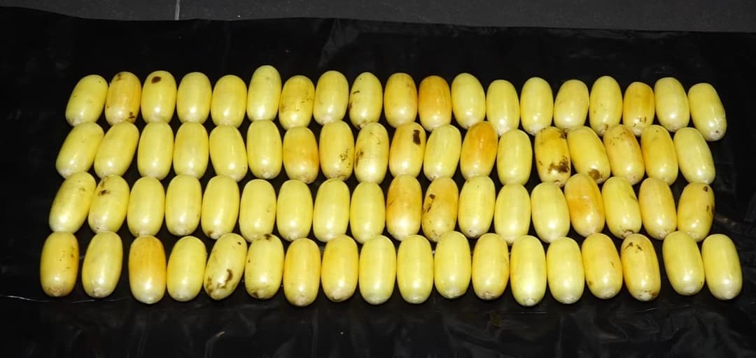 პოლიციამ ნარკოდანაშაულისთვის 4 პირი დააკავა