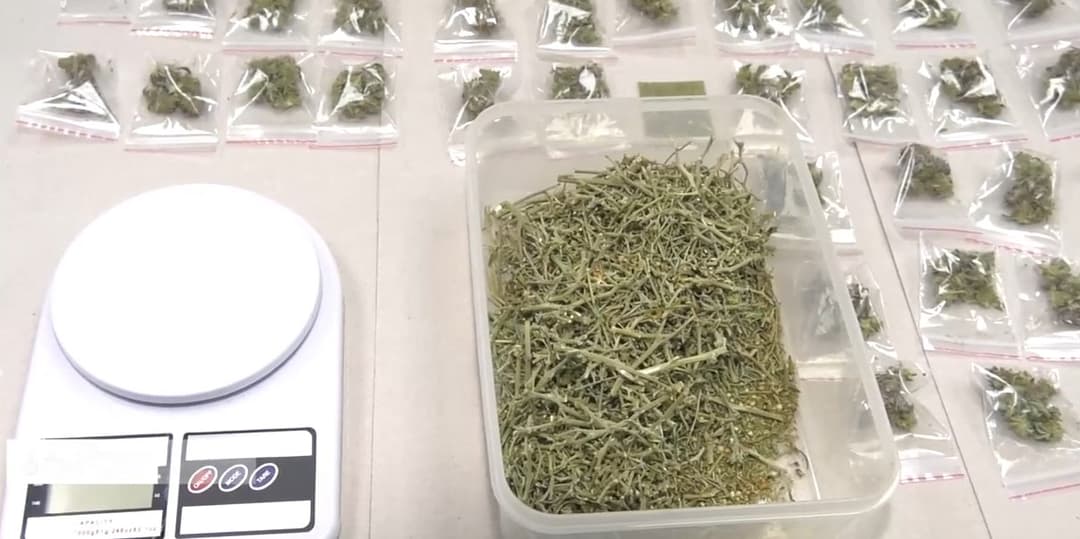 შსს-მ ნარკოდანაშაულისთვის 8 პირი დააკავა, მათგან 5 ნარკორეალიზატორია