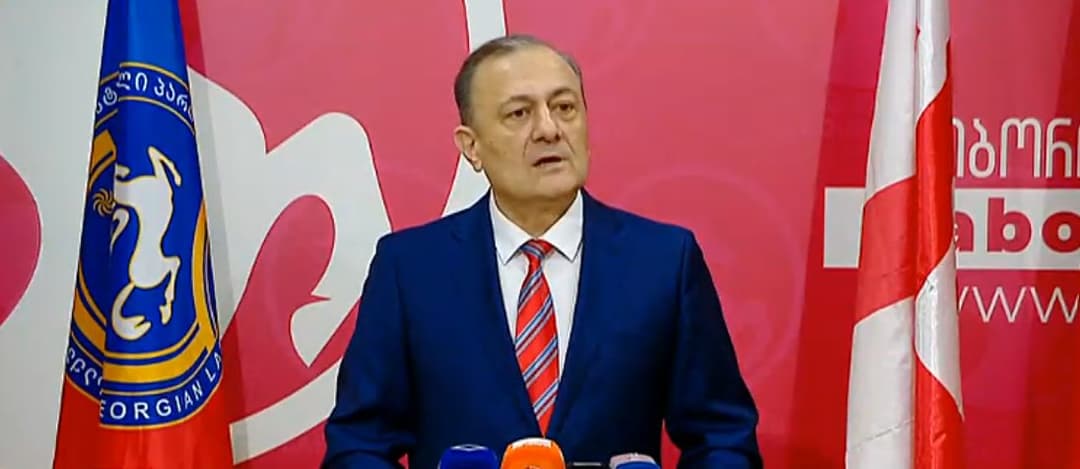 შალვა ნათელაშვილი – მივმართავ ე.წ. საპარლამენტო უმრავლესობას, დაიშალეთ