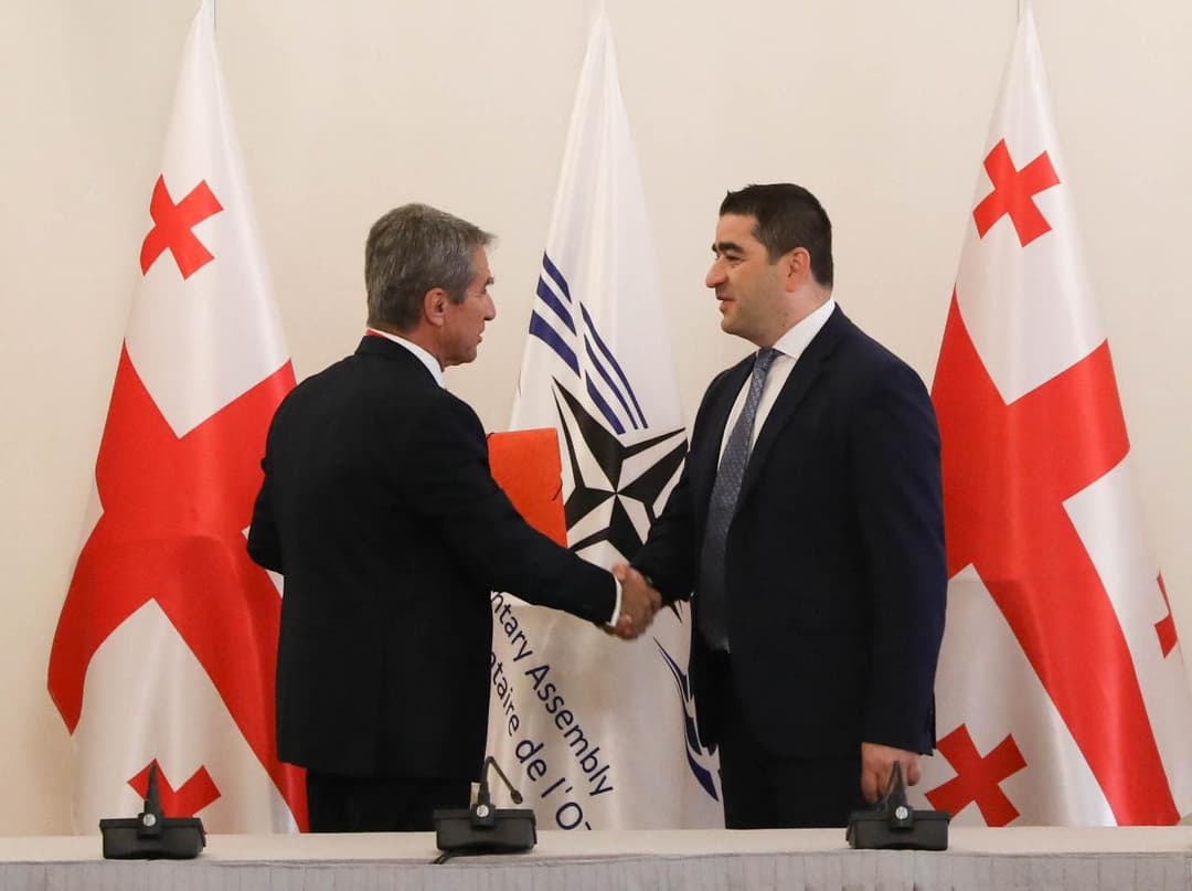 შალვა პაპუაშვილი – მოლოდინი გვაქვს, რომ ნატოს მადრიდის სამიტზე საქართველოს მიმართ უფრო მკაფიო გზავნილები იქნება, მნიშვნელოვანია, რომ სიტყვები საქმედ გადაიქცეს