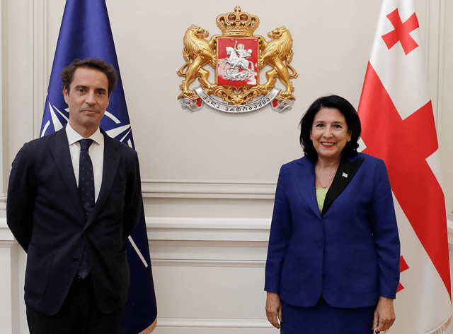 სალომე ზურაბიშვილი ხავიერ კოლომინას შეხვდა