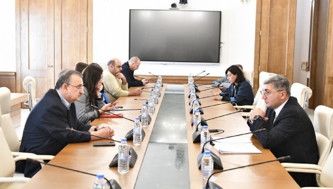 რომან გოცირიძე – ბიუჯეტის ზრდას ხელისუფლება იყენებს პროპაგანდისტულად და მანიპულაციურად