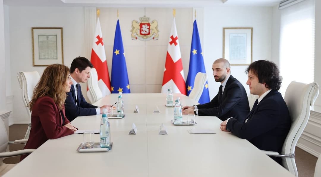 ირაკლი კობახიძე საქართველოში ნიდერლანდების სამეფოს ელჩს შეხვდა