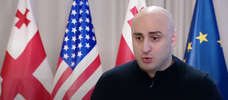 ნიკა მელია – ორმაგად სასიხარულოა, რომ უკლებლივ ყველა ეს დემოკრატიული ევროპული პარტია არის საქართველოს ქომაგი