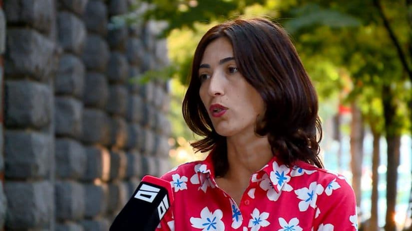 ნინო დოლიძე – წინასაარჩევნოდ ძალადობის წახალისება იქნება ერთ-ერთი მთავარი პრობლემა