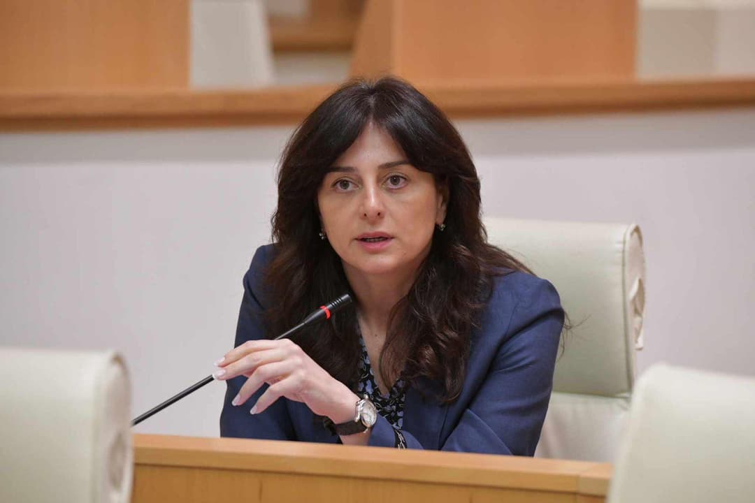 მაია ბითაძე – ალბათ, ადამიანურად ძალიან დიდი ბოღმა და შური აქვთ