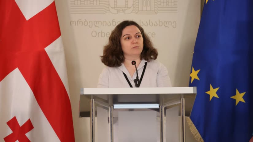 ნონა ქურდოვანიძე – მხოლოდ 52 მოქალაქეს აქვს დაზარალებულის სტატუსი, რაც საგრძნობლად ჩამორჩება რეალურ რაოდენობას