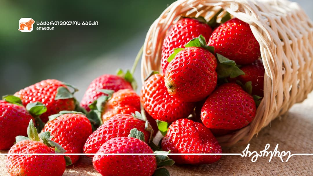 “საქართველოს ბანკის” მხარდაჭერით “ნოვაგი“ სასათბურე მეურნეობას აფართოვებს