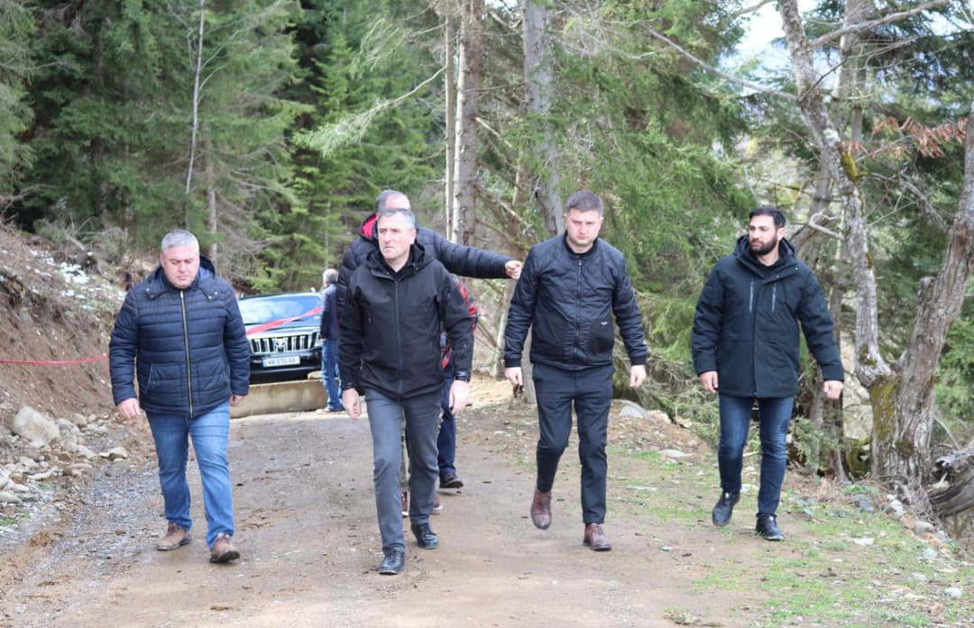 სახელმწიფო რწმუნებული და ონის მერი სპეციალისტებთან ერთად პიპილეთის ადმინისტრაციულ ერთეულში არსებულ ვითარებას გაეცნენ