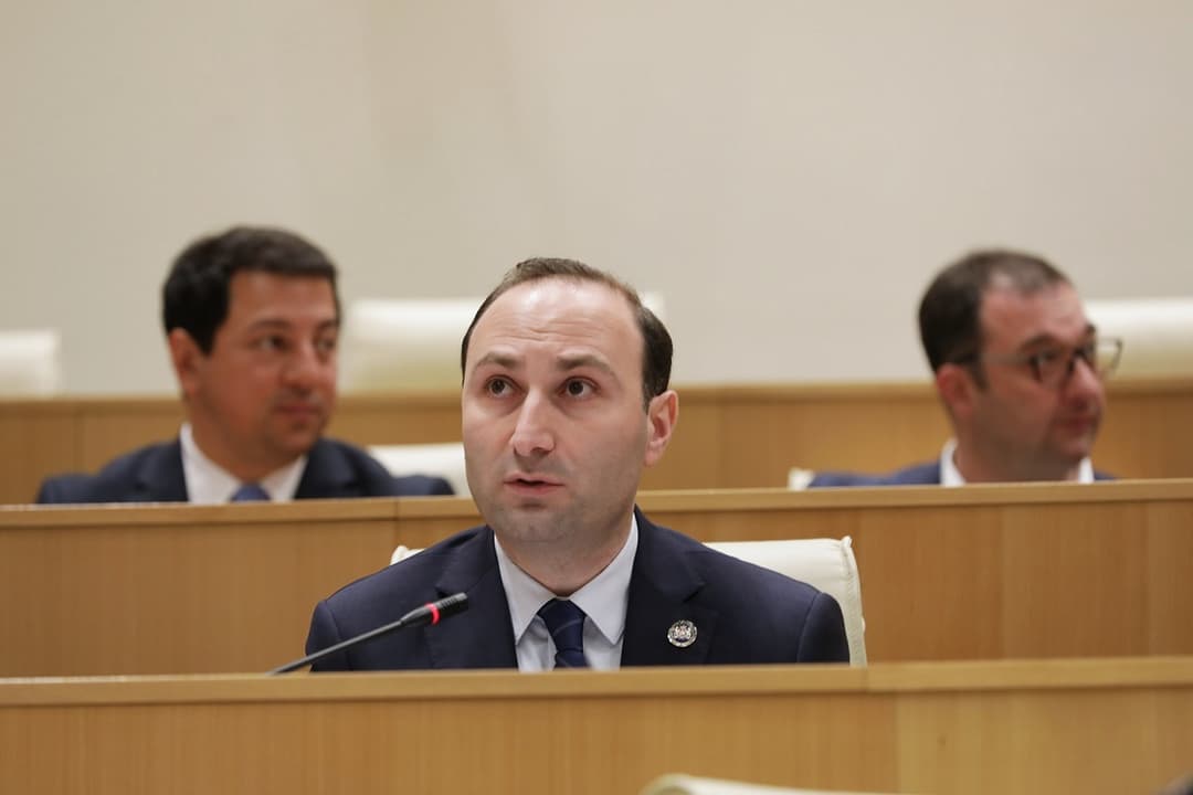 ანრი ოხანაშვილი – ოპოზიციის წარმომადგენლები ყოველ ჯერზე ცდილობენ ავნონ პროცესს და ეს ისახება დასკვნის ტექსტზე