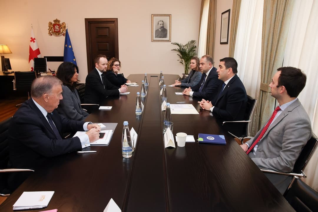 შალვა პაპუაშვილი ვენეციის კომისიის დელეგაციას შეხვდა