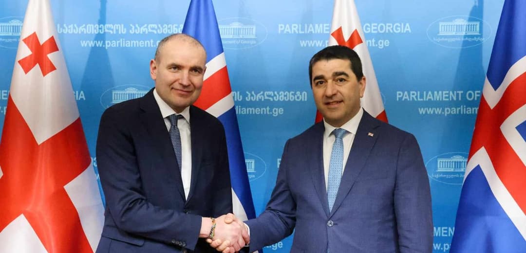 შალვა პაპუაშვილი ისლანდიის რესპუბლიკის პრეზიდენტს შეხვდა