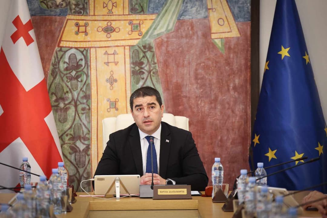 შალვა პაპუაშვილი – ჩემი პირადი დასკვნაა, რომ ეს თემა, როგორც ჩანს, დახურულია ან დაიხურება მალე