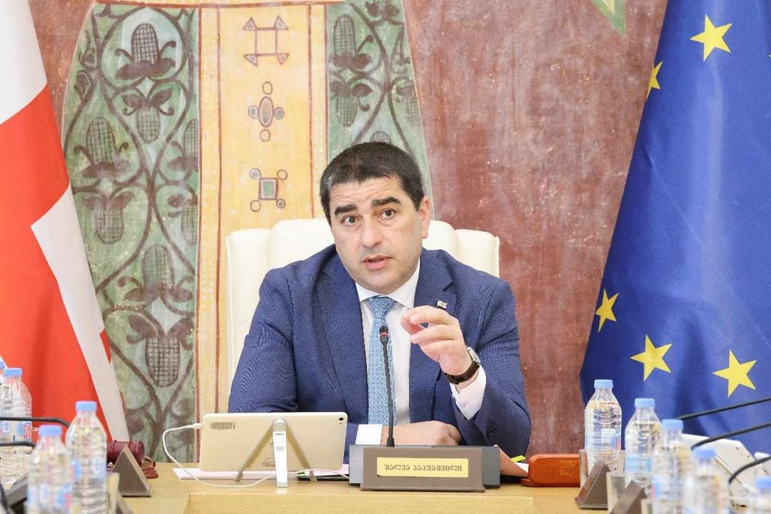 პარლამენტში “ოჯახური ღირებულებებისა და არასრულწლოვანის დაცვის შესახებ“ საკანონმდებლო პაკეტის საკომიტეტო განხილვები დაიწყება