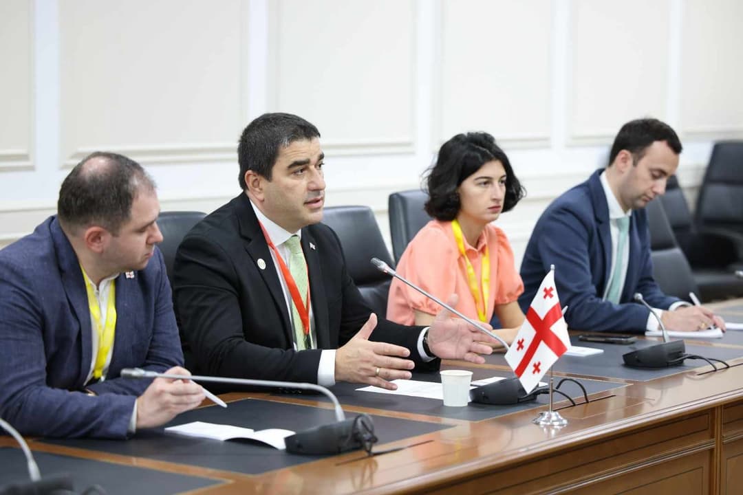 შალვა პაპუაშვილი ტუვალუს პარლამენტის თავმჯდომარეს შეხვდა