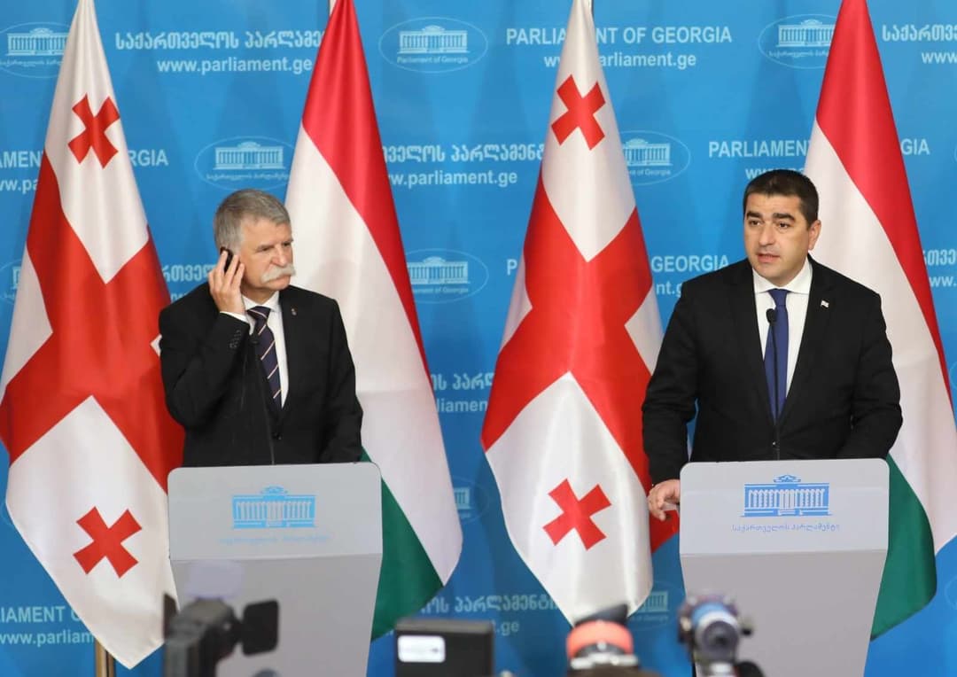 Georgia’s place “in EU”, bloc “should correct” its mistake – Hungarian Parliament Speaker
