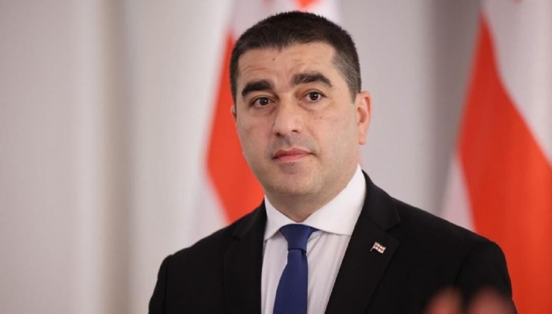 შალვა პაპუაშვილი მედიის თავისუფლების საკითხებში ეუთოს წარმომადგენელს ტერეზა რიბეიროს წერილით მიმართავს