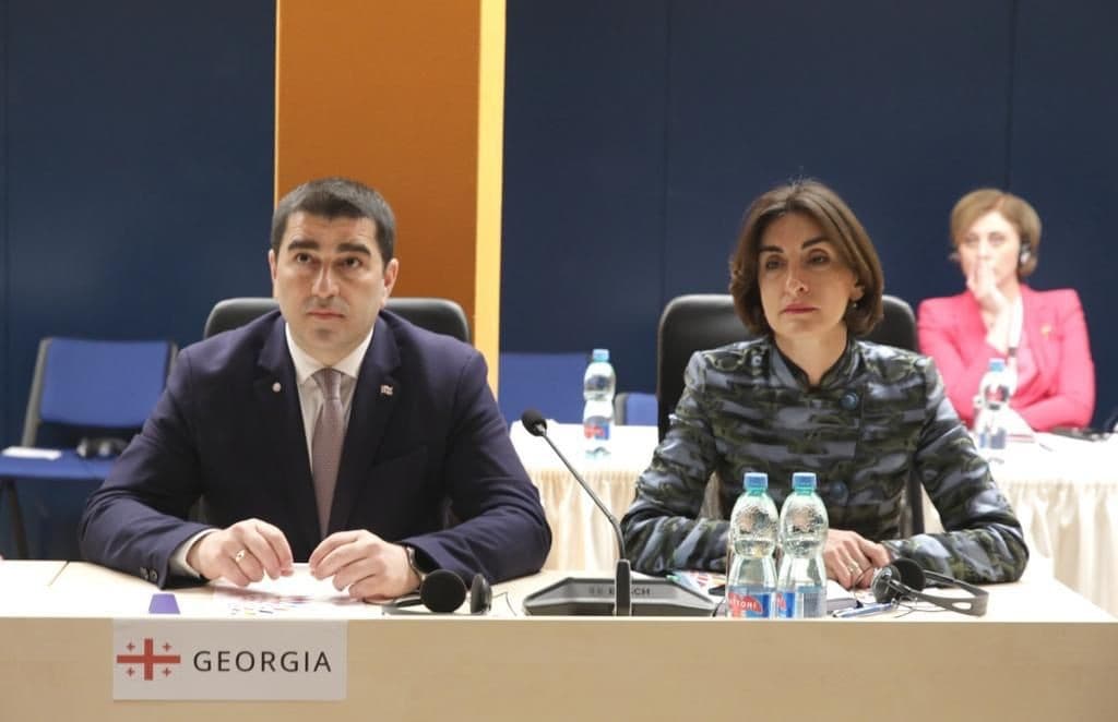 შალვა პაპუაშვილი – ჩვენ გვესმის უკრაინის ტკივილის