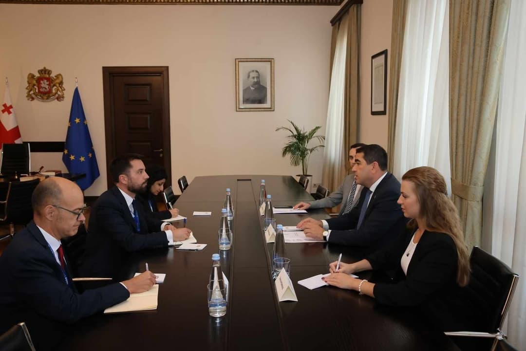 შალვა პაპუაშვილი ეუთოს საარჩევნო სადამკვირვებლო მისიის ხელმძღვანელს შეხვდა