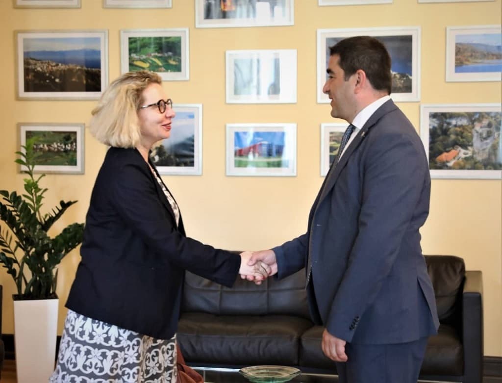 შალვა პაპუაშვილი საქართველოში ევროპის საბჭოს ხელმძღვანელს შეხვდა