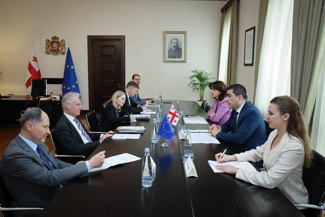 Georgian Parliament Speaker discusses EU integration with visiting European Commission official