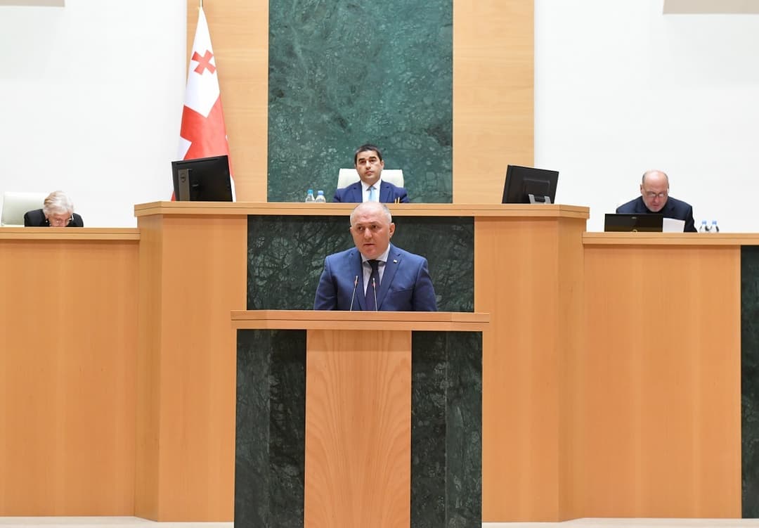 პარლამენტმა სახელმწიფო უსაფრთხოების სამსახურის 2021 წლის საქმიანობის შესახებ ანგარიში მოისმინა