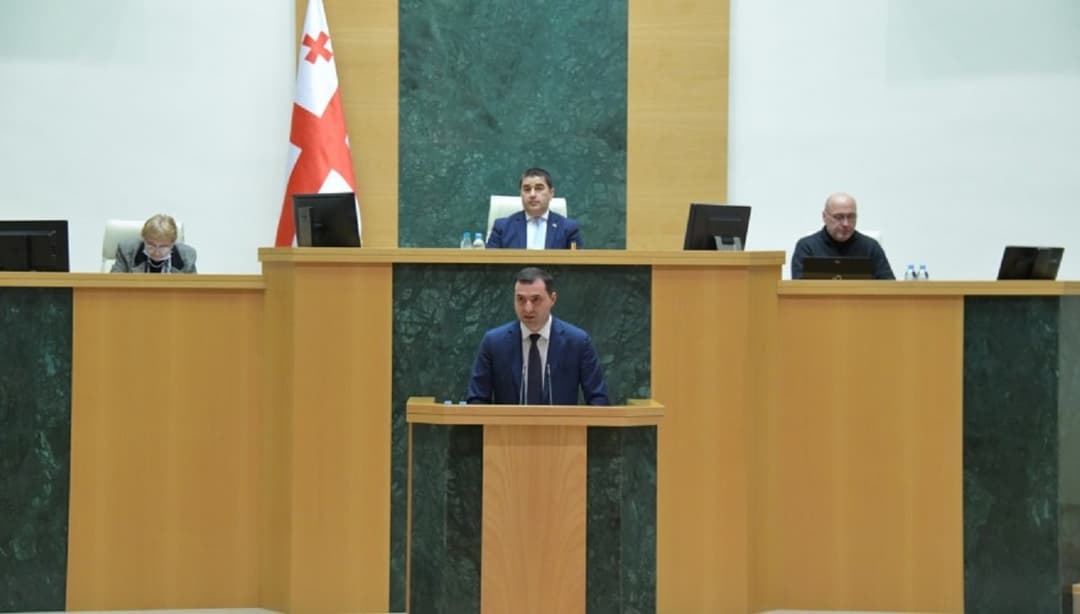 პარლამენტმა შრომის ინსპექციის სამსახურის 2021 წლის ანგარიში მოისმინა