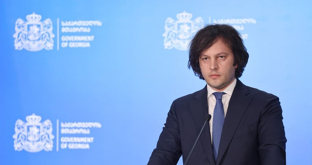 Georgian PM: EU, US suspension of defence aid thwarts hopes for relationship reset