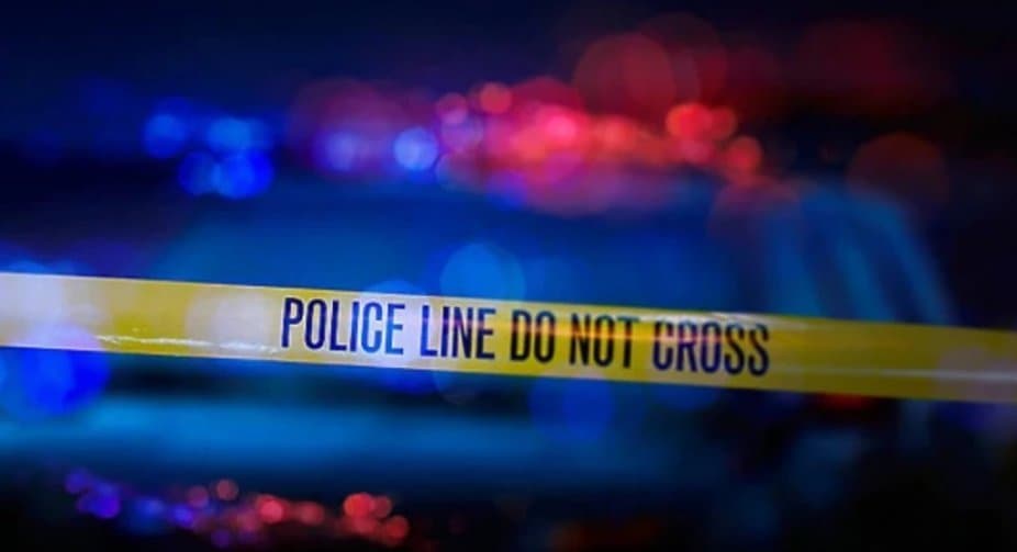 აჭარაში განზრახ მკვლელობის ბრალდებით ერთი პირი დააკავეს